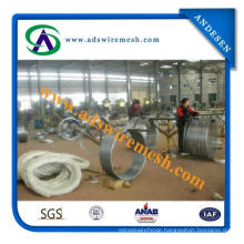Concertina Razor Barbed Wire for Export to Middle East Market